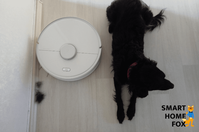 Robot Vacuums remove dog hair along the ledges